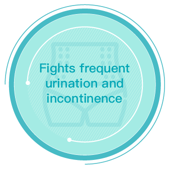Fights frequent urination and incontinence