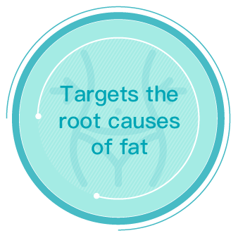 Targets the root causes of fat